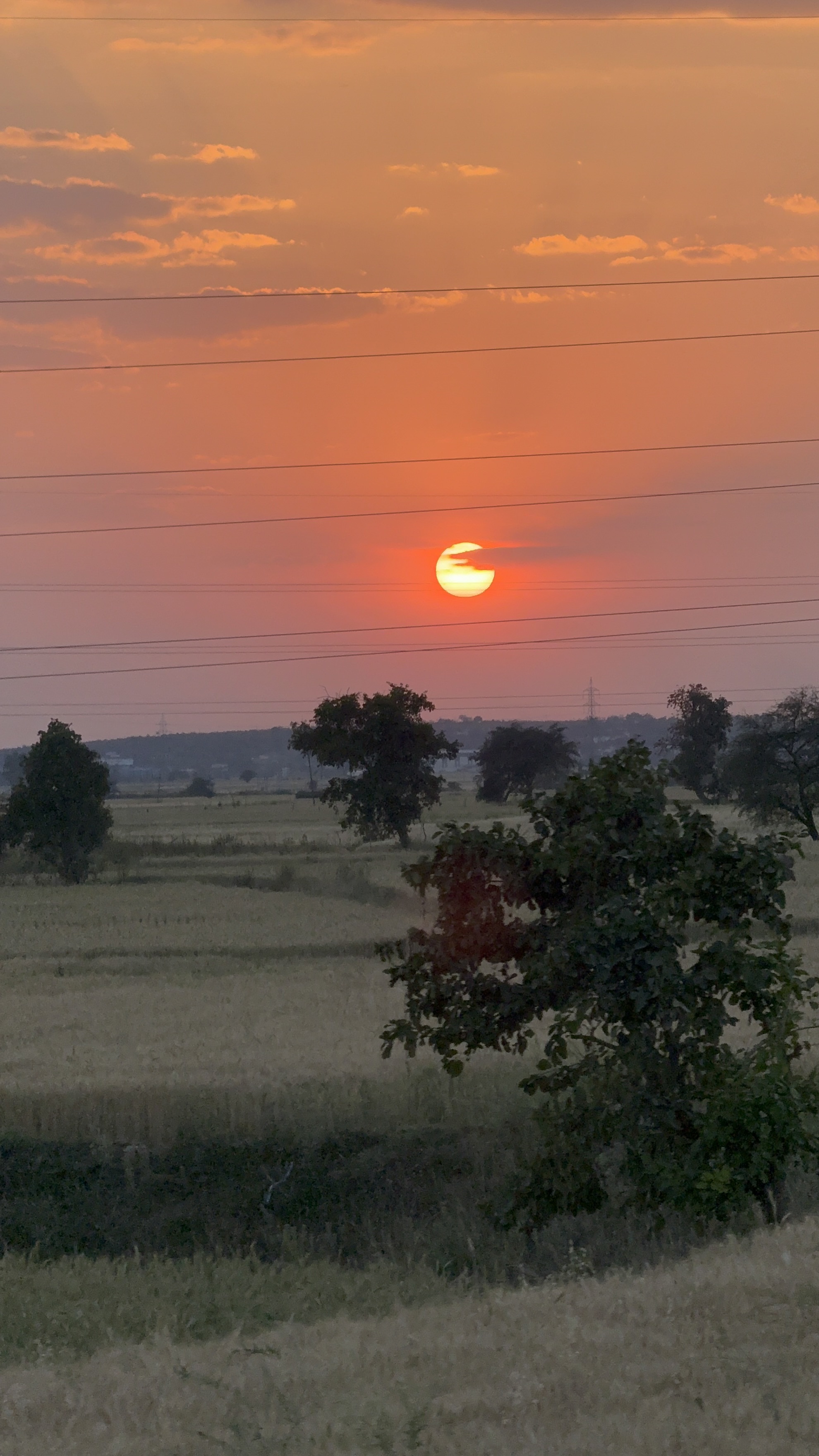 Back to Bhopal